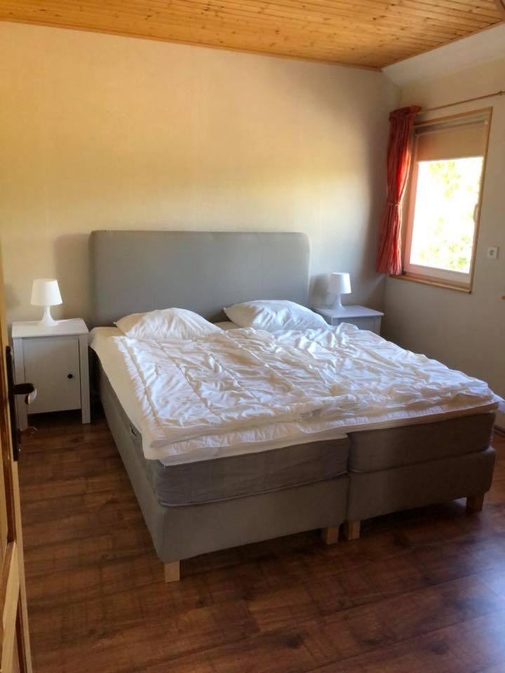 Apartamenty Beata Wisełka Eksteriør billede
